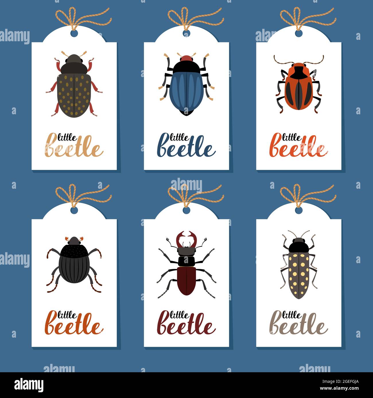 Raccolta di etichette con diversi coleotteri Illustrazione Vettoriale