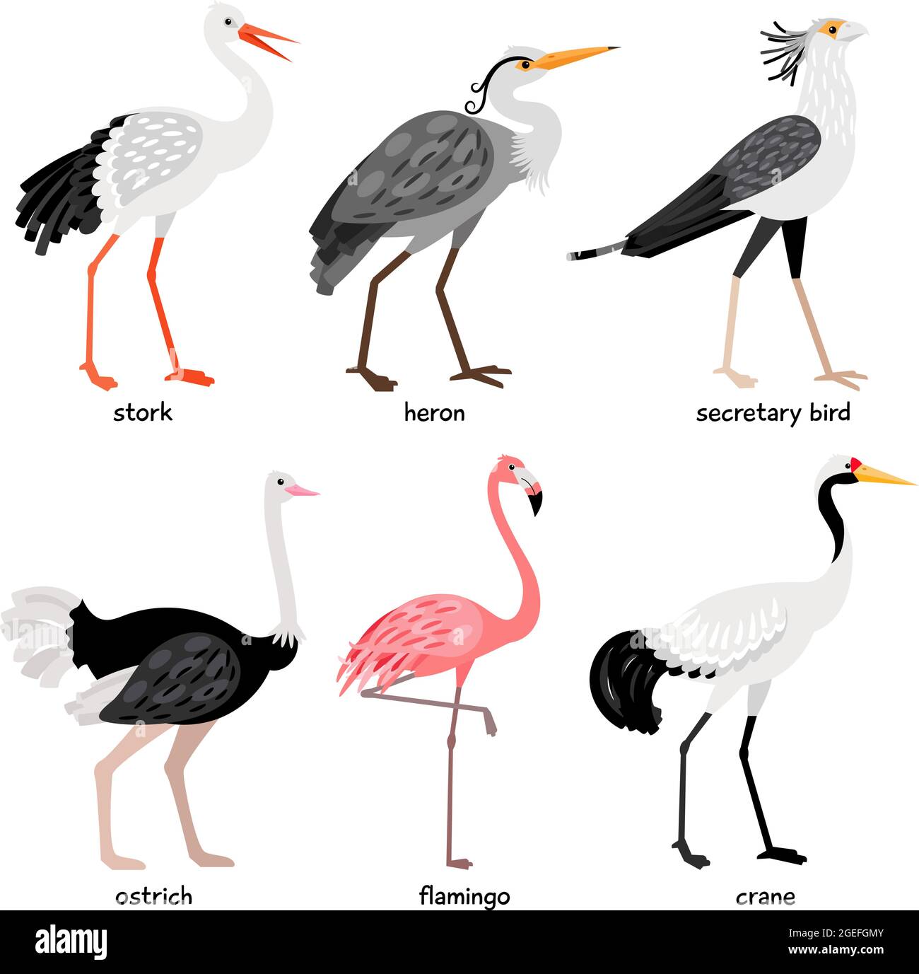 Splendida collezione composta da simpatici uccelli di colore leggy Illustrazione Vettoriale