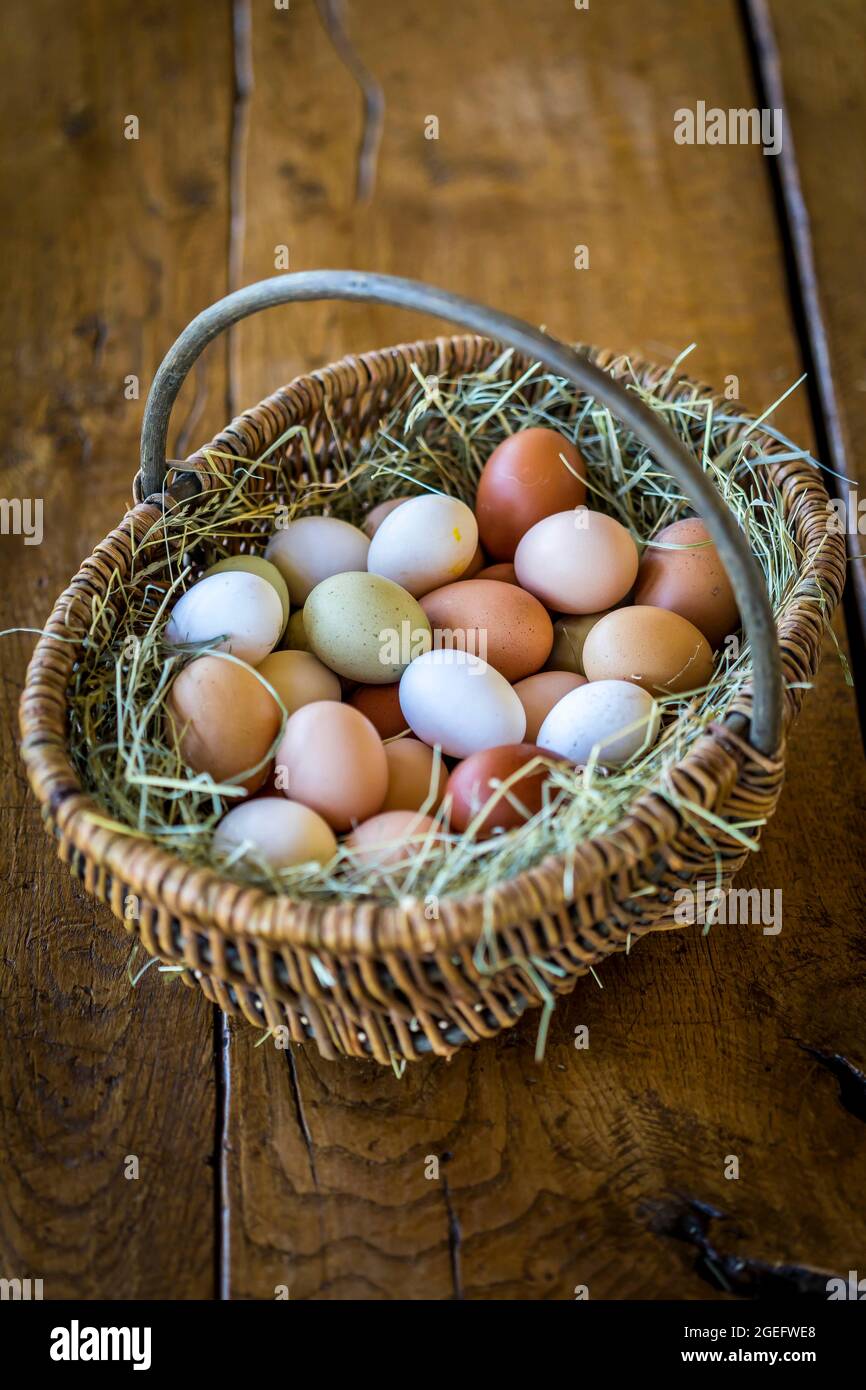 Le uova in un cesto Foto Stock