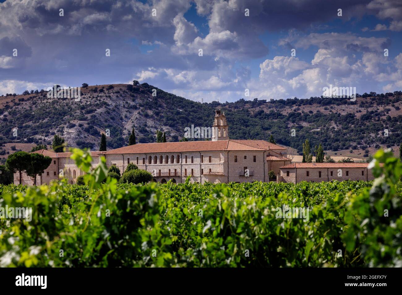 Retuerta Abbey Hotel le Domain. Un resort di lusso situato a Ribera del Duero circondato da vigneti. Valladolid. Spagna. Foto Stock