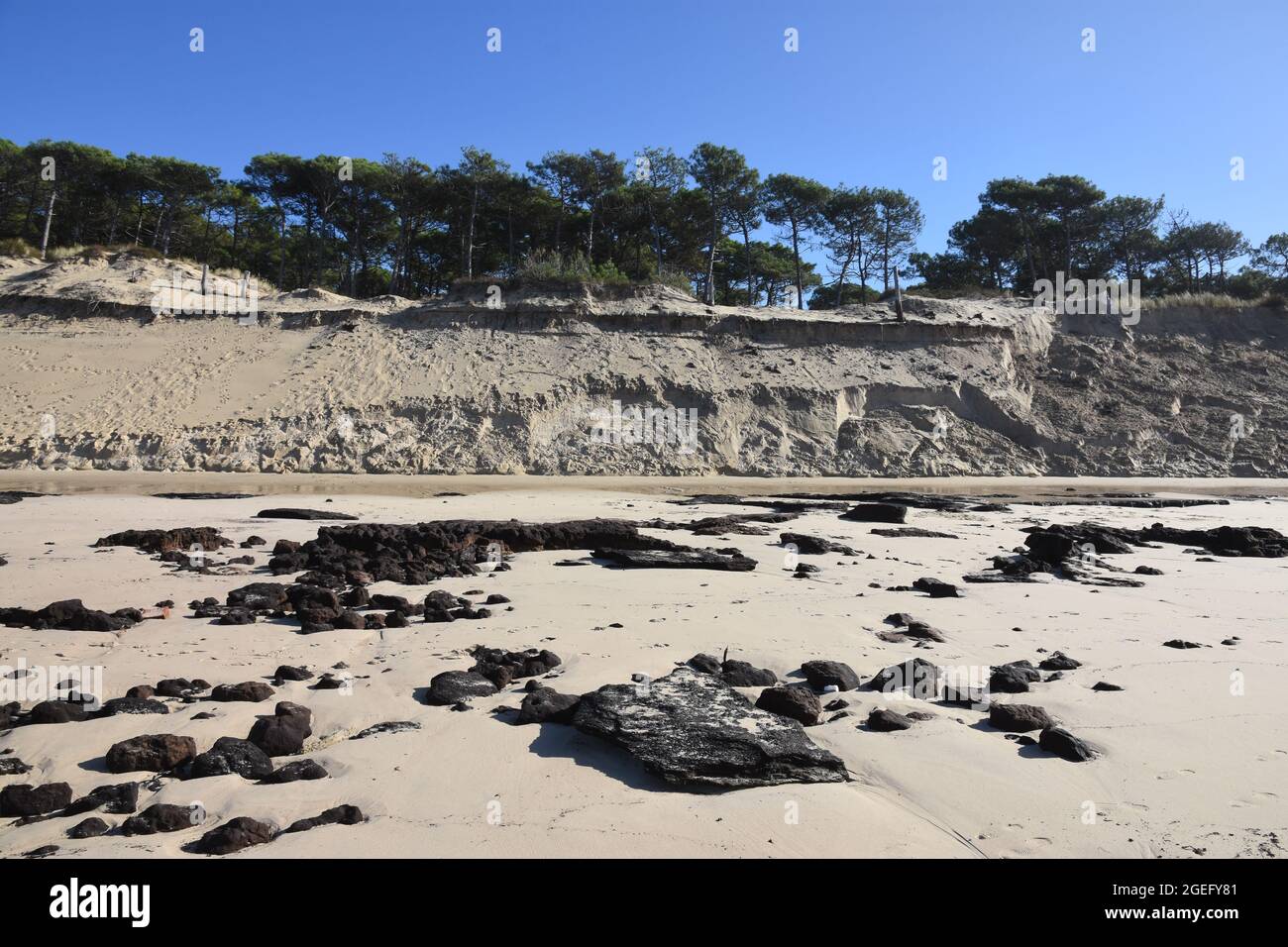 Francia, Aquitania, sulla costa atlantica l'aumento del livello dell'oceano e la durata delle tempeste favoriscono l'erosione delle spiagge e delle dune. Foto Stock