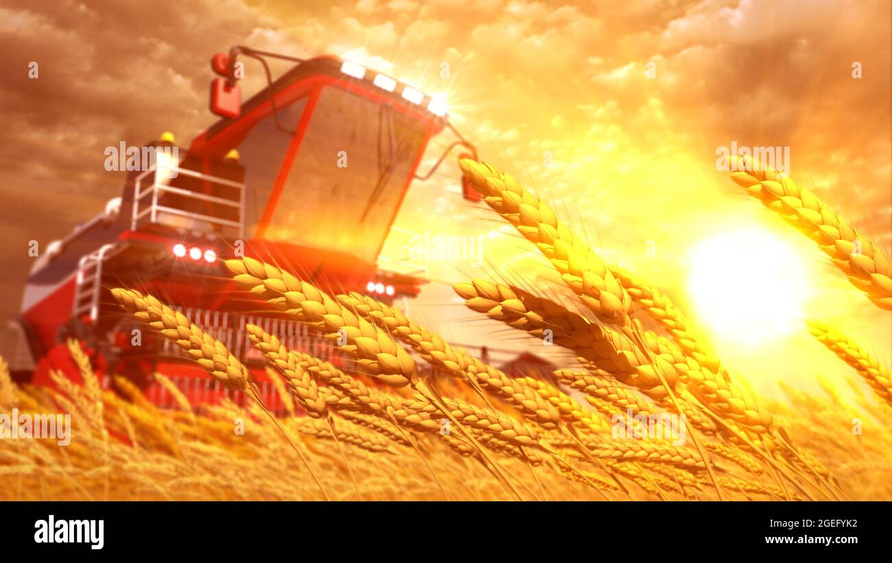 Mietitrebbia su campo di segale o di grano al tramonto . rendering 3d industriale cg fittizio Foto Stock