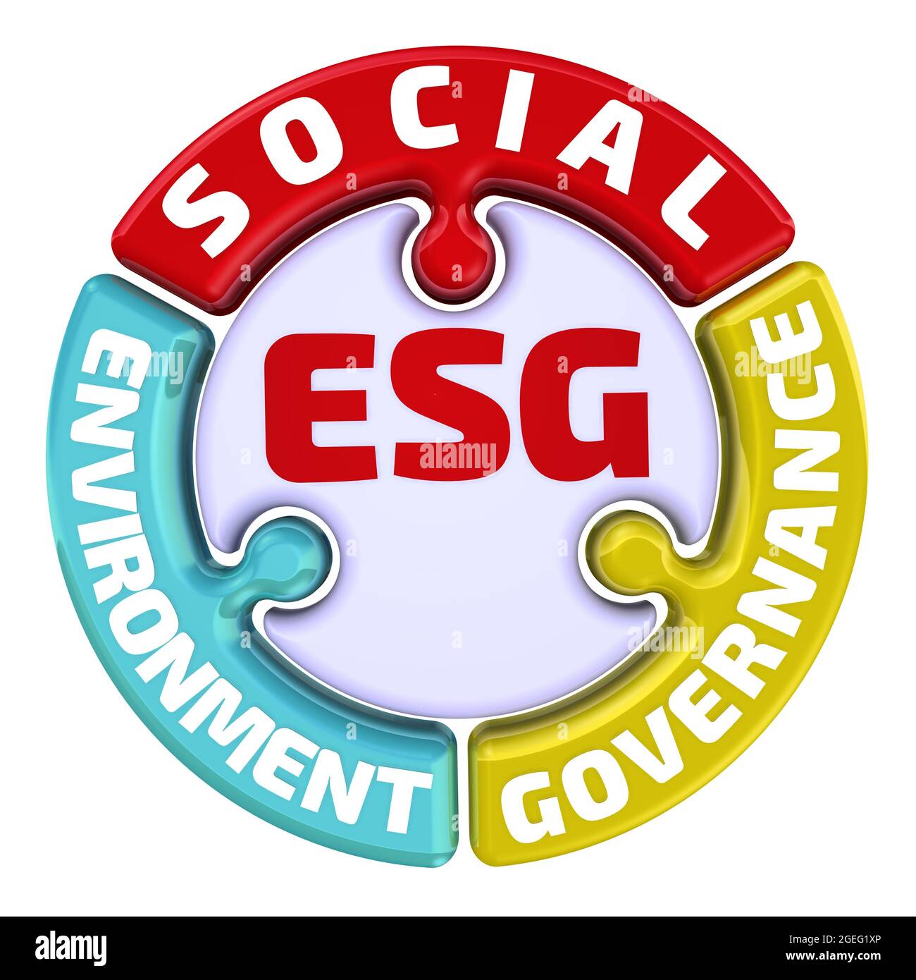 ESG. Governance sociale ambientale. Il segno di spunta sotto forma di puzzle. Segno di spunta ESG per l'ambiente, la società e la governance. Illustrazione 3D Foto Stock