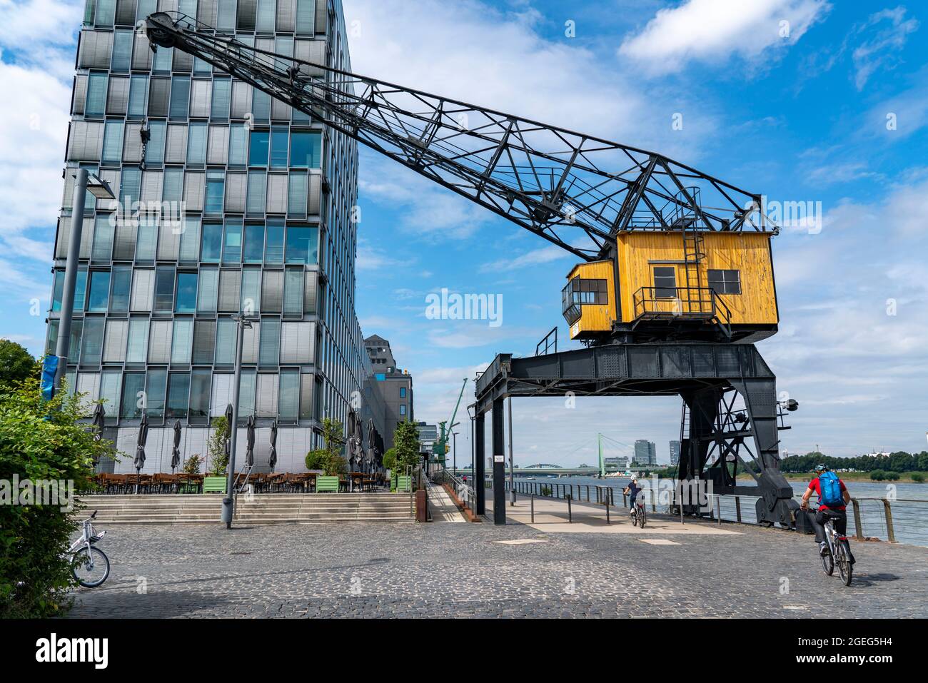 Rheinauenhafen, gru portuale, Colonia sud, edifici residenziali e uffici di alto livello, Colonia, NRW, Germania, Foto Stock