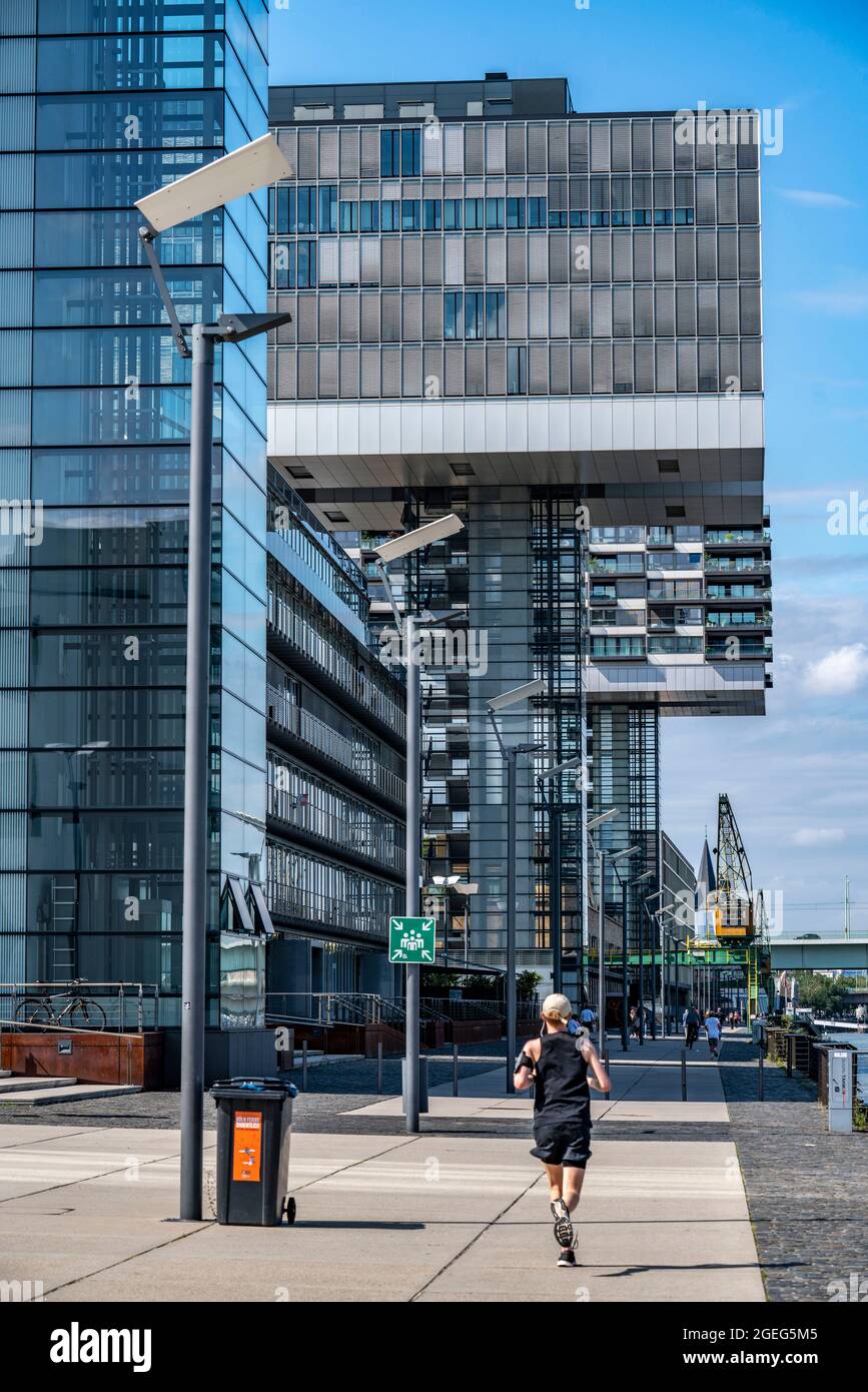 La gru ospita a Colonia Sud, sul Reno, presso il vecchio porto doganale, edifici residenziali e uffici, Promenade sul Reno, Colonia, NRW, Ger Foto Stock