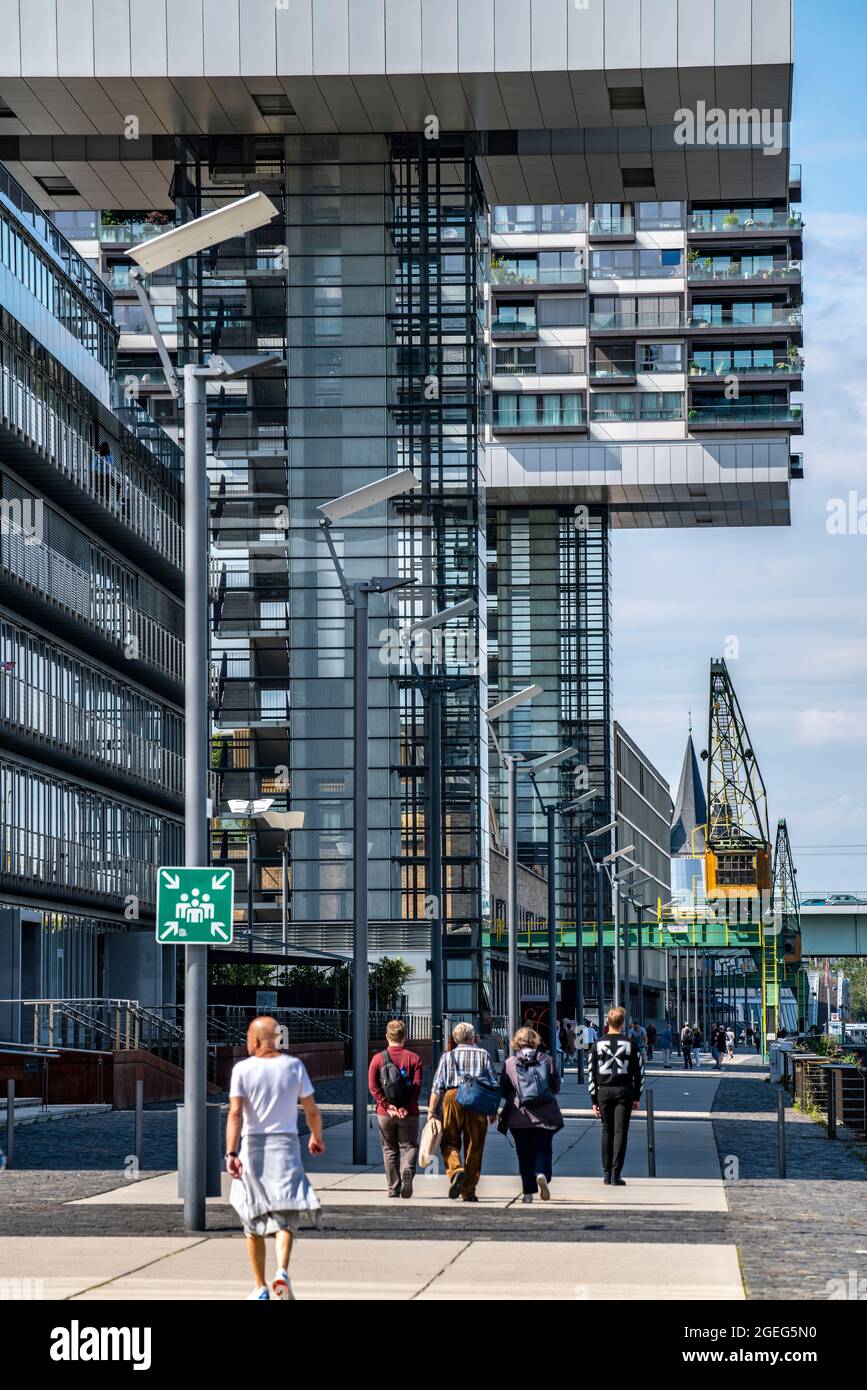 La gru ospita a Colonia Sud, sul Reno, presso il vecchio porto doganale, edifici residenziali e uffici, Promenade sul Reno, Colonia, NRW, Ger Foto Stock