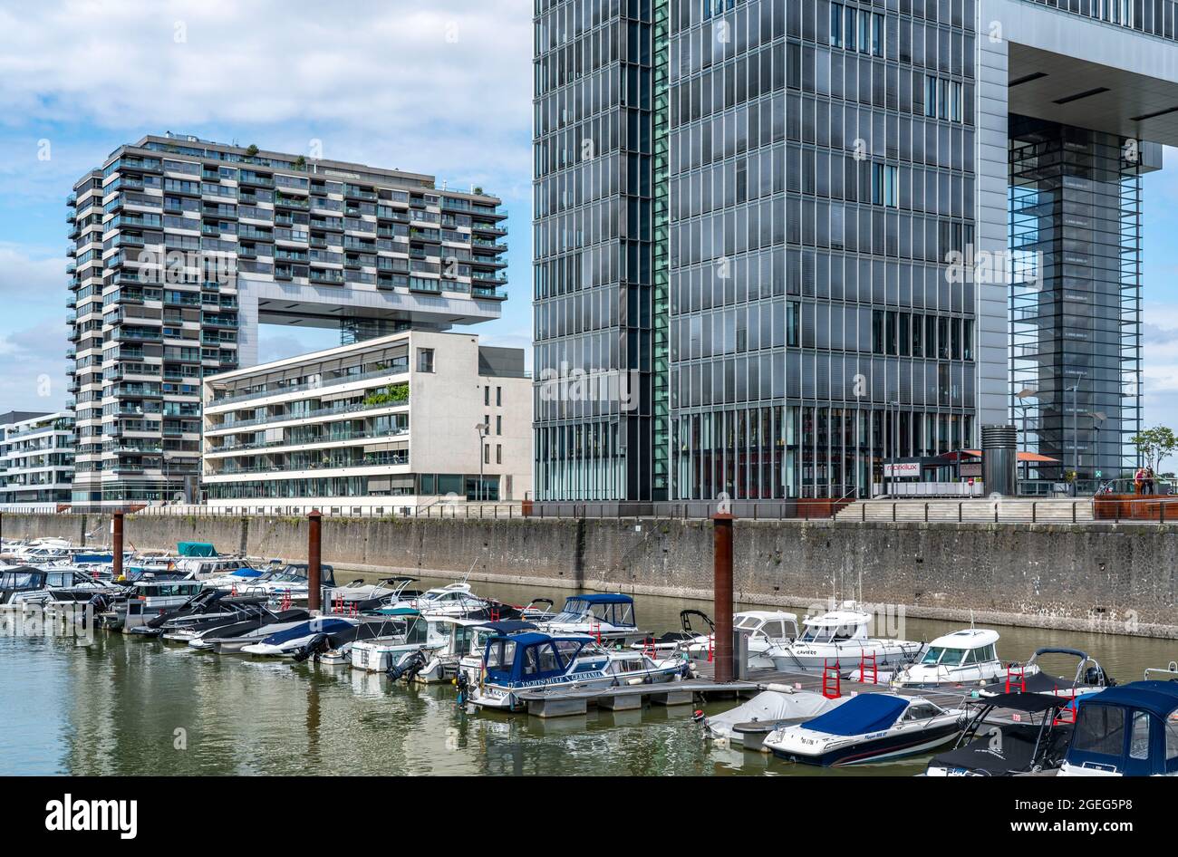 Le gru si trovano a Colonia Sud, sul Reno, presso il vecchio porto doganale, Rheinau-Sporthafen Colonia, edifici residenziali e uffici, Colonia, N. Foto Stock