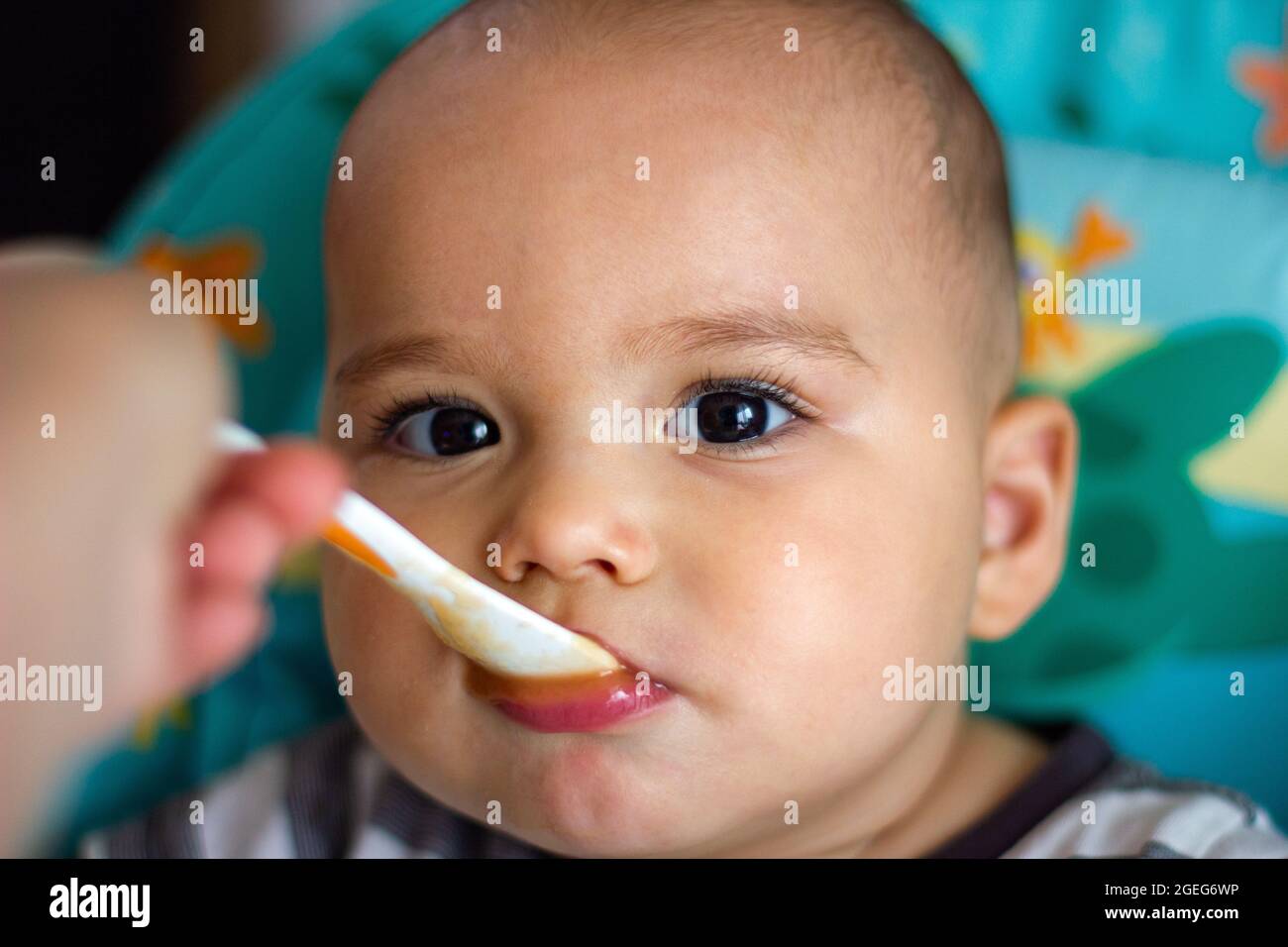 Il bambino piccolo è nutrito con cucchiaio. Madre che alimenta il suo bambino con alimento del bambino - verdure e frutta puree Foto Stock