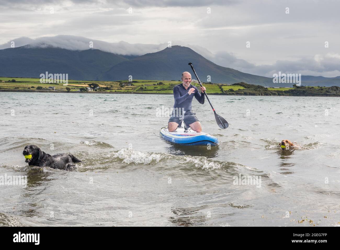 Fenit. Kerry, Irlanda. 19 Agosto 2021. John McAuliffe di Barrow West divertirsi con i suoi due cani Misty e Locha vicino a Banna Strand, Co. Kerry, Irlanda. - Foto; David Creedon / Alamy Live News Foto Stock