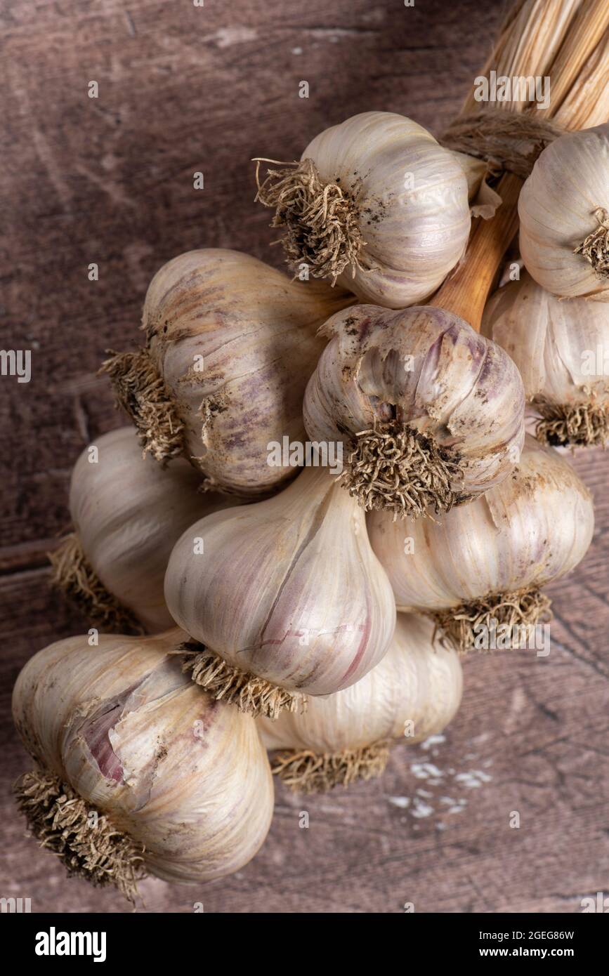 Bulbi di aglio intrecciati su un tavolo di legno. Foto Stock