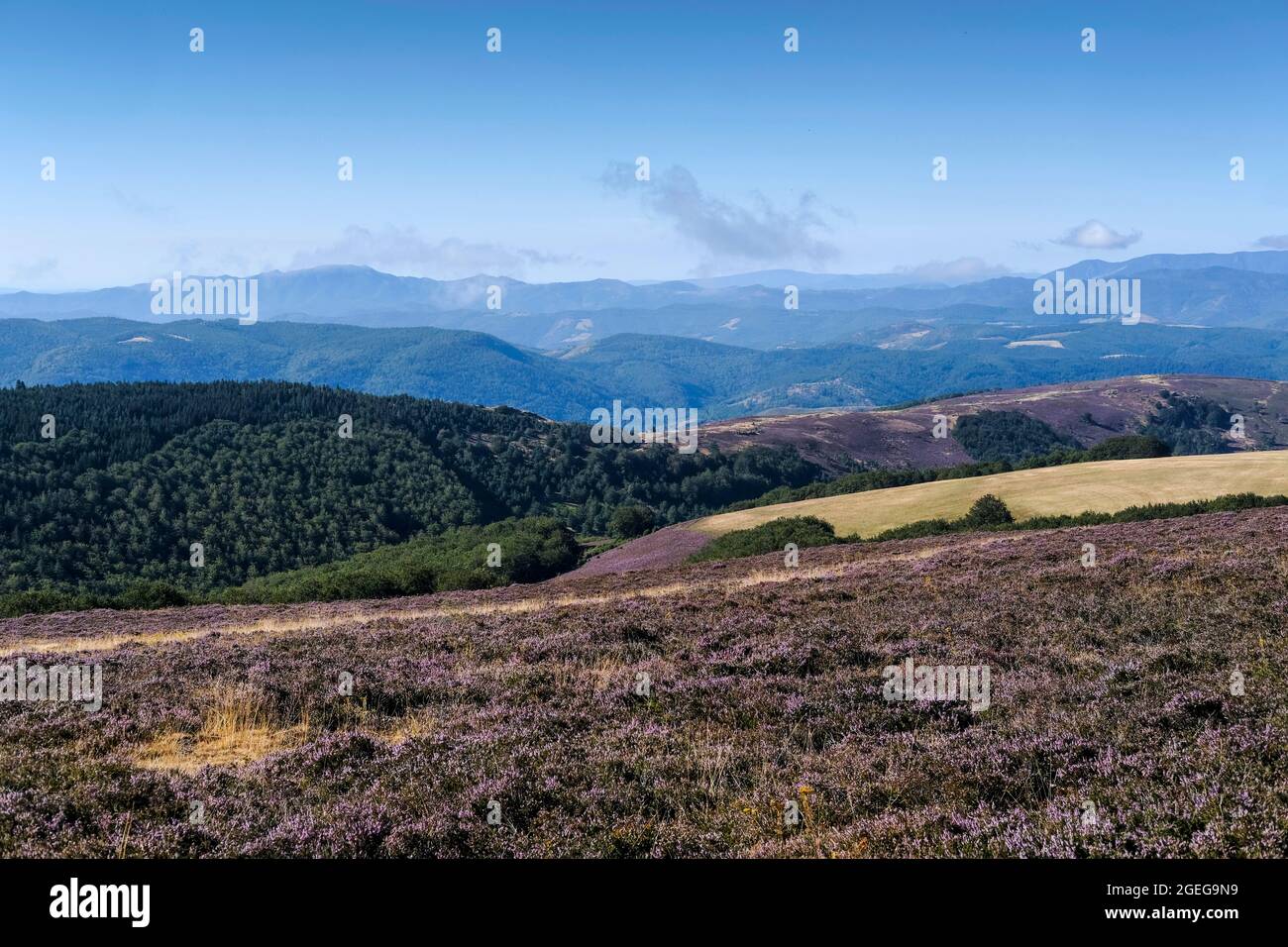 Sentiero lungo Chemin de Stevenson, Robert Louis Stevenson Trail, GR70. Paesaggio dal Monte Bouges nel Parco Nazionale delle Cévennes (sud o Foto Stock