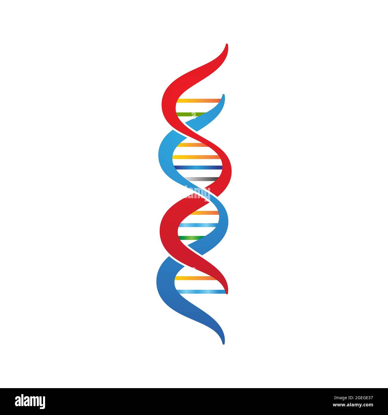 Modello di illustrazione del disegno dell'icona del vettore DNA medico Foto Stock