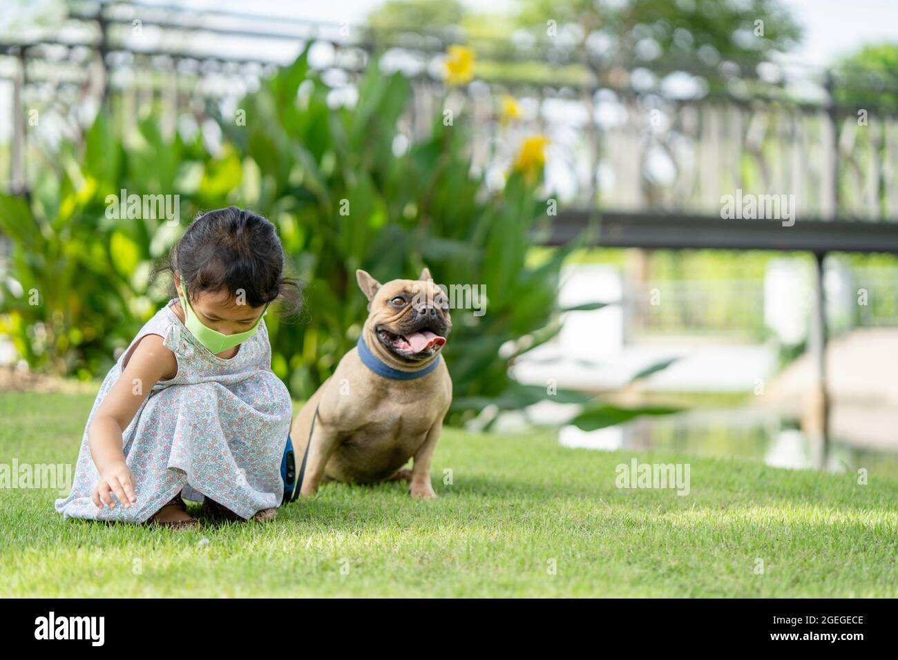 Ragazza carina con una maschera protettiva che cammina con il suo Bulldog francese al parco Foto Stock