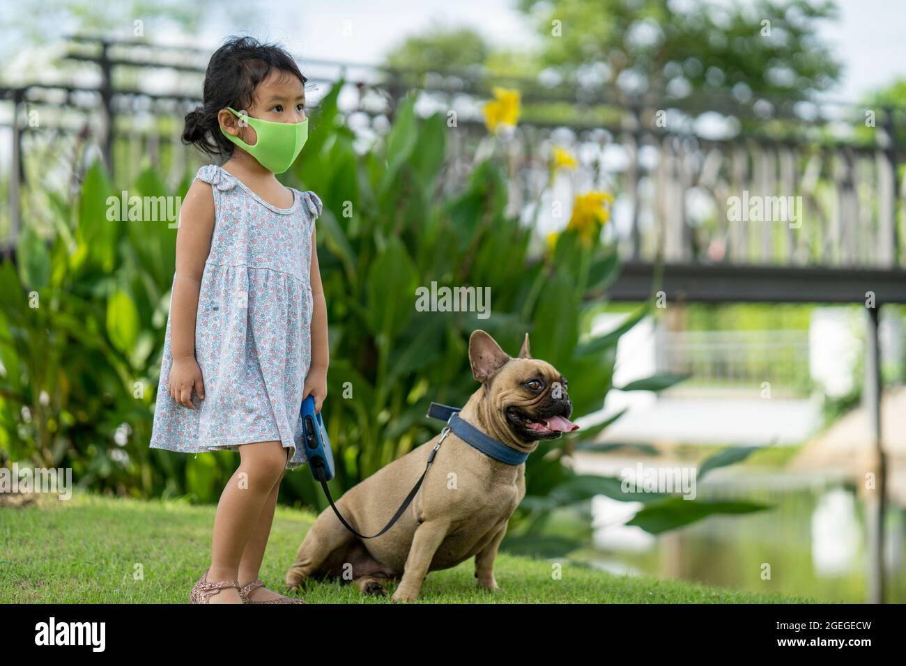 Ragazza carina con una maschera protettiva che cammina con il suo Bulldog francese al parco Foto Stock