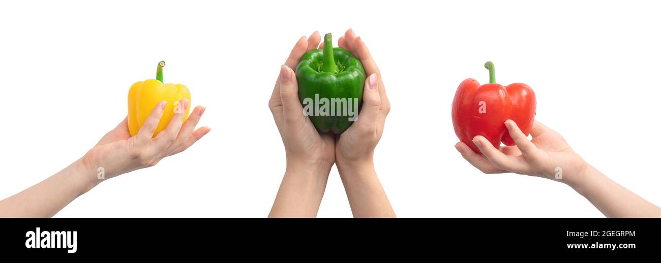 Striscione con peperoni dolci in mano. Peperone giallo, verde e rosso in mano donna, disegno banner Foto Stock