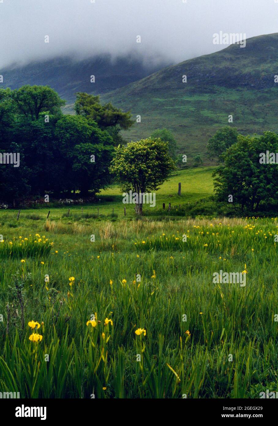 Clach na h-Annait (pietra della Chiesa Madre) pietra in piedi, Kilbride, Skye, Scozia, Regno Unito, Guardando NNE verso Beinn Dearg Bheag. Foto Stock