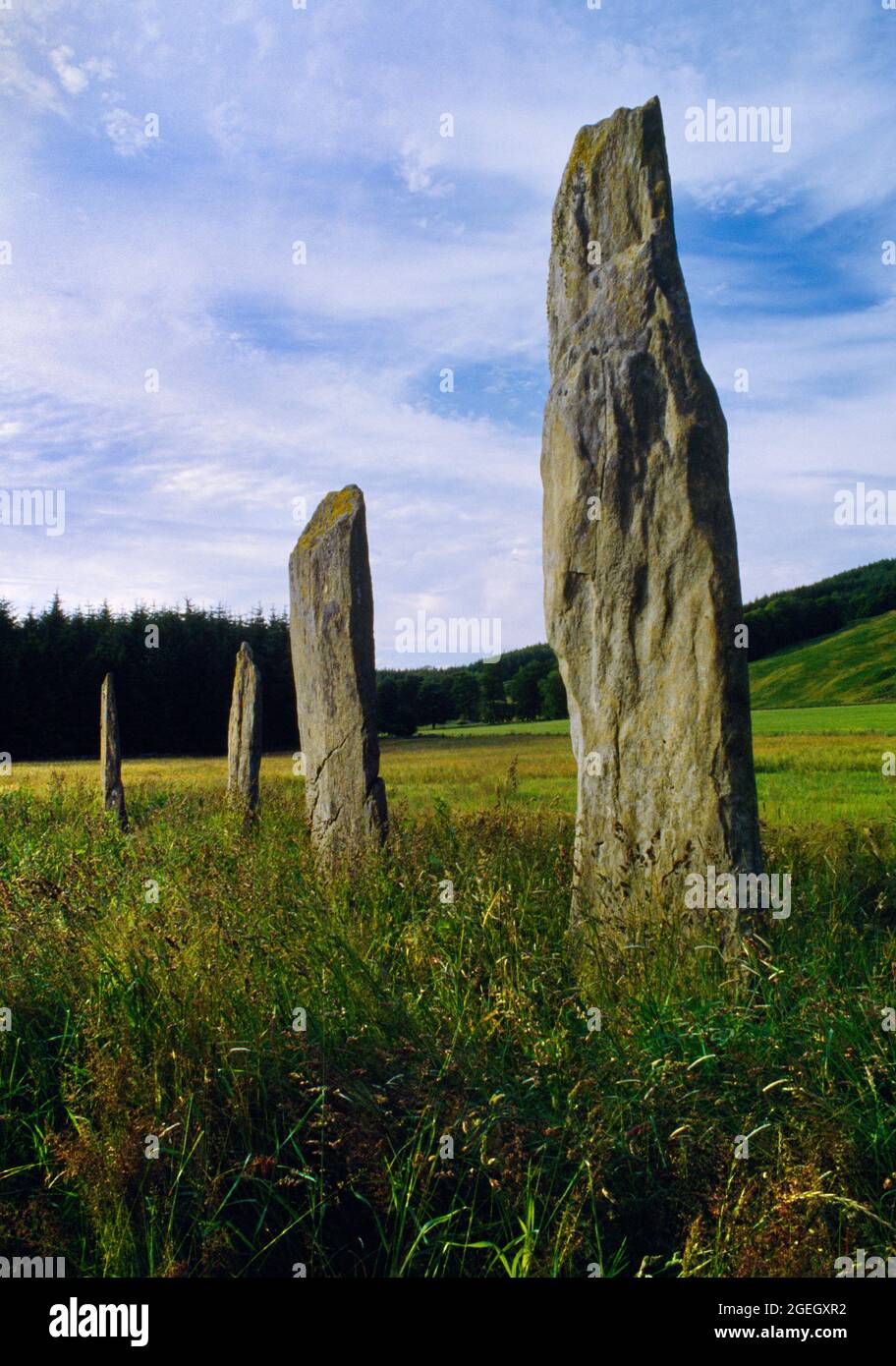 Visualizza N di Ballymeanoch Stones Standing a Kilmartin Glen, Argyll, Scozia, Regno Unito, che mostra la fila di quattro pietre che è 14,5 m di lunghezza e allineato NW-se. Foto Stock