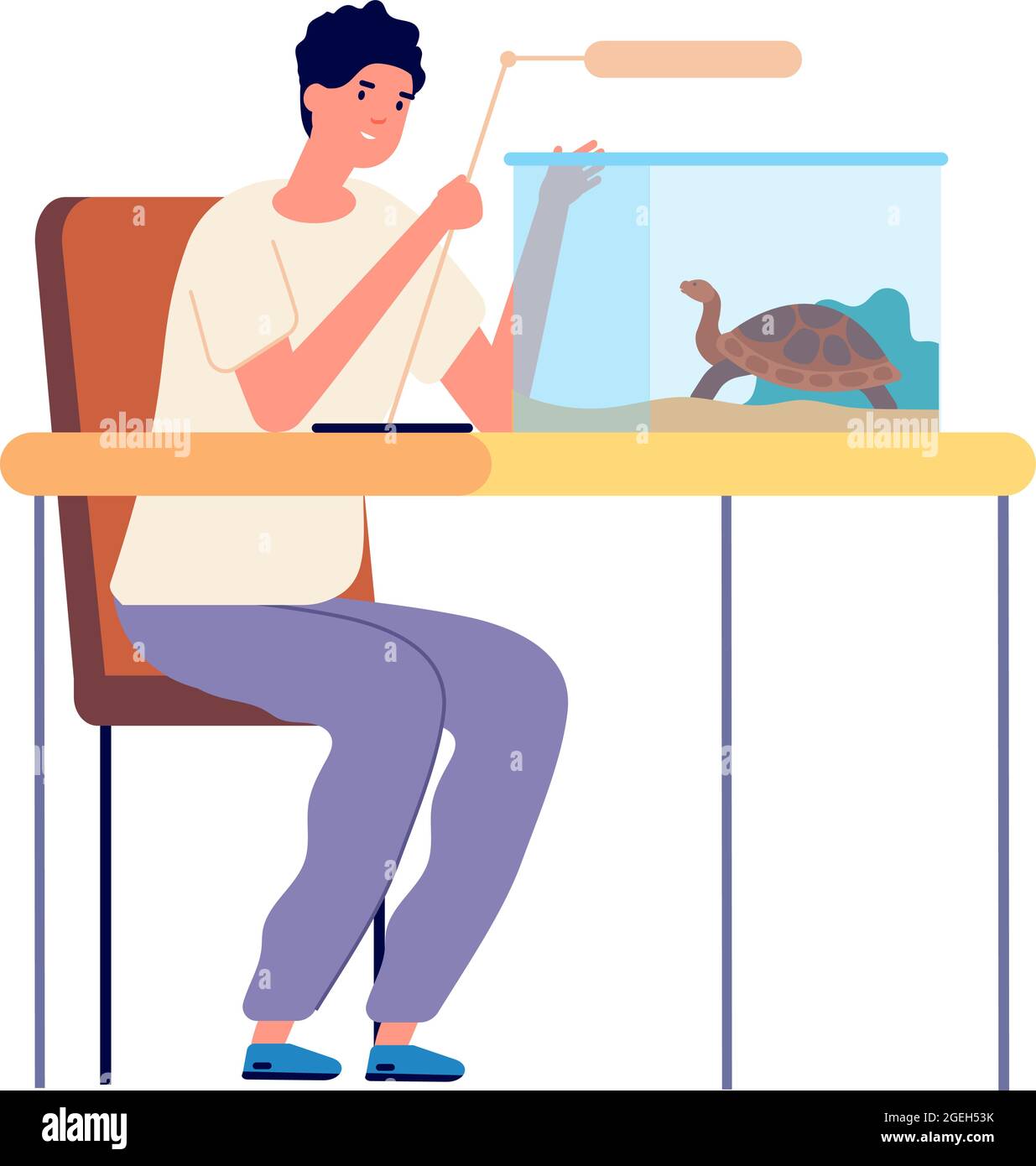 Tartaruga domestica. Acquario per rettili, ragazzo che gioca con l'animale domestico. Veterinario cura di animali selvatici vettore illustrazione Illustrazione Vettoriale