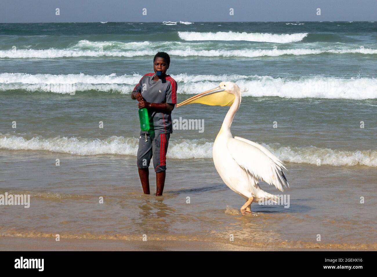 SULLA SPIAGGIA UN GIOVANE RAGAZZO È IN COMPAGNIA DI UN PELICAN Foto Stock