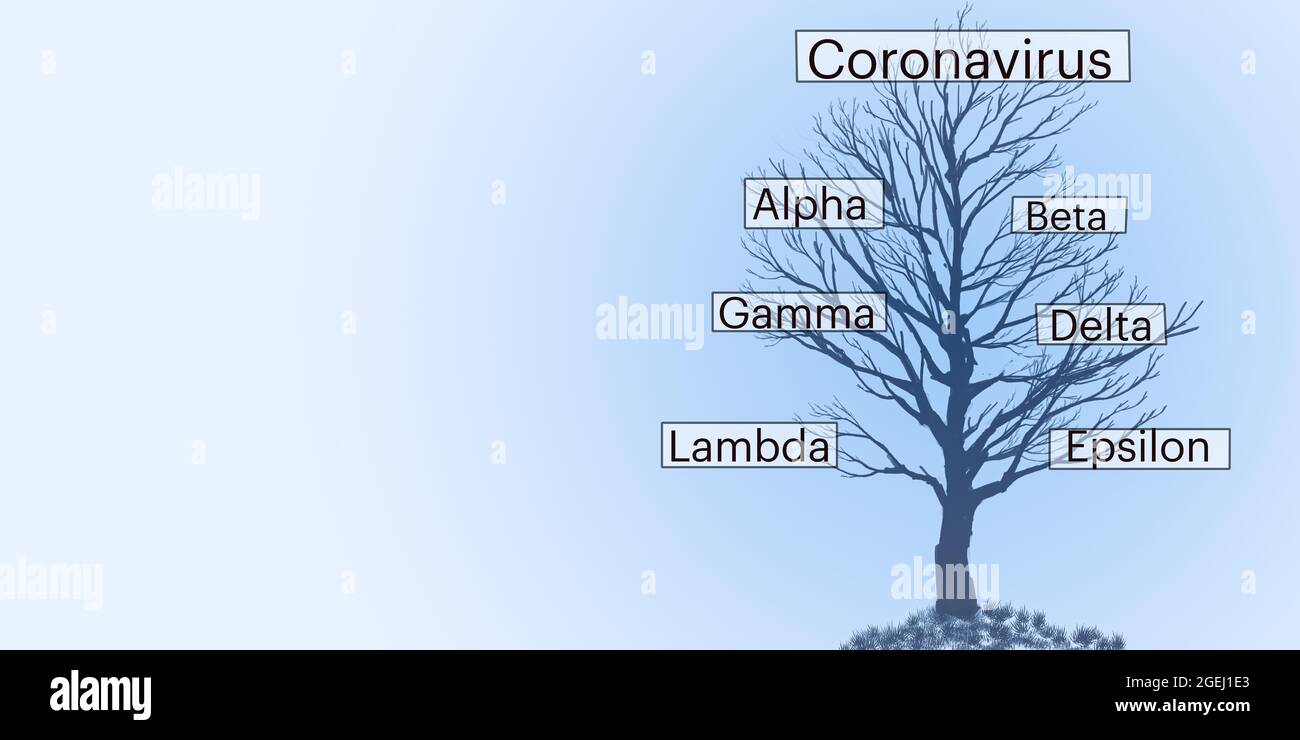 albero di famiglia variante del coronavirus o genealogia con nomi greci su sfondo graduato concetto di mutazioni covid 19 . Foto Stock