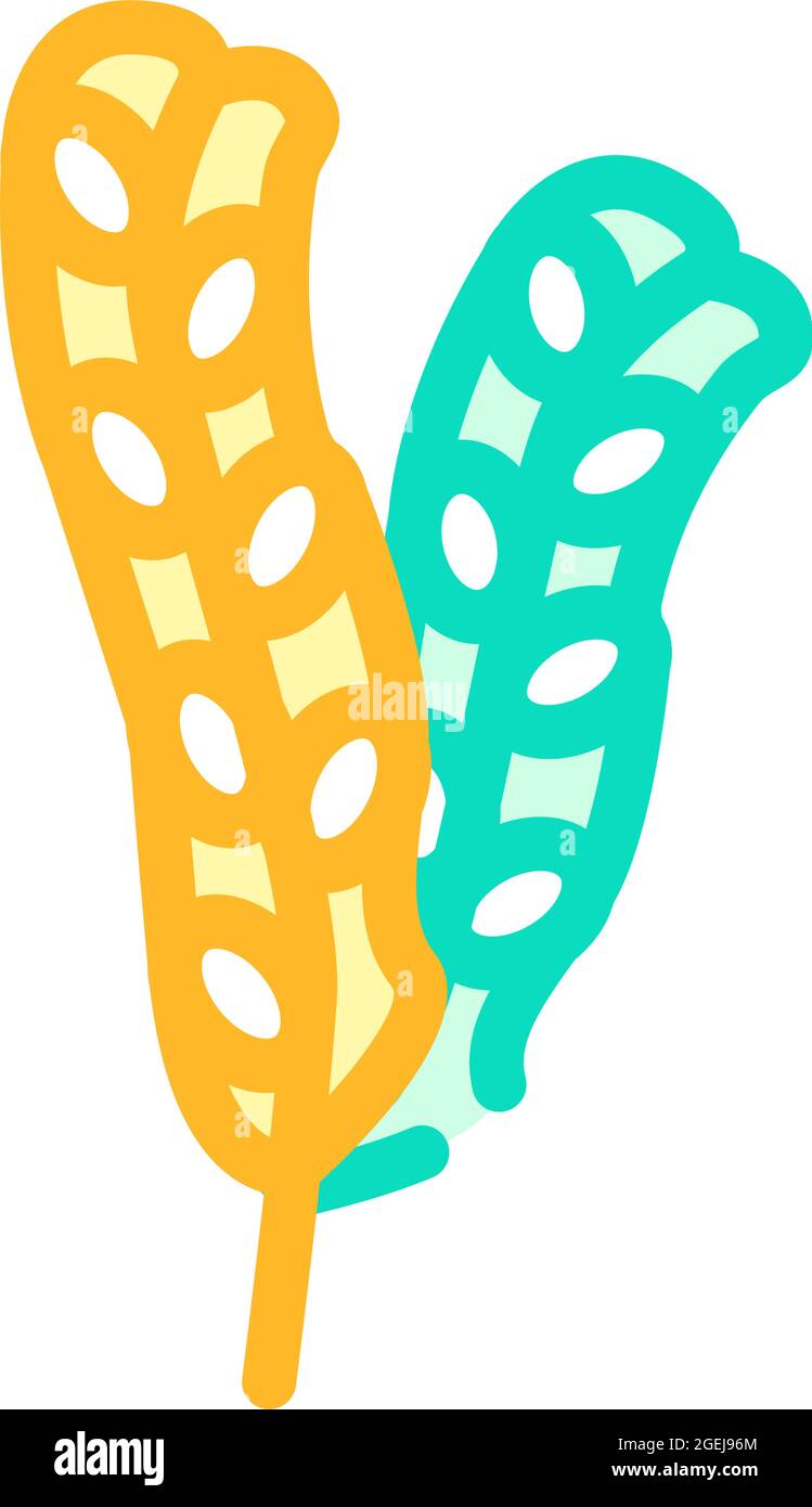 fucus vesiculosus immagine vettoriale di icone di colore delle alghe marine Illustrazione Vettoriale
