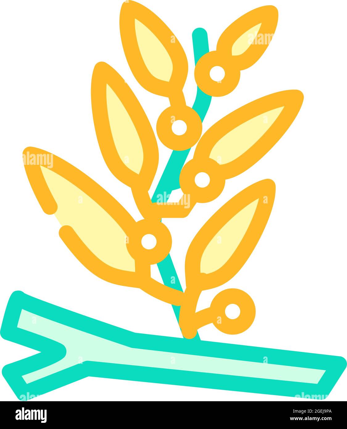 illustrazione vettoriale dell'icona delle alghe marine di sargassum Illustrazione Vettoriale