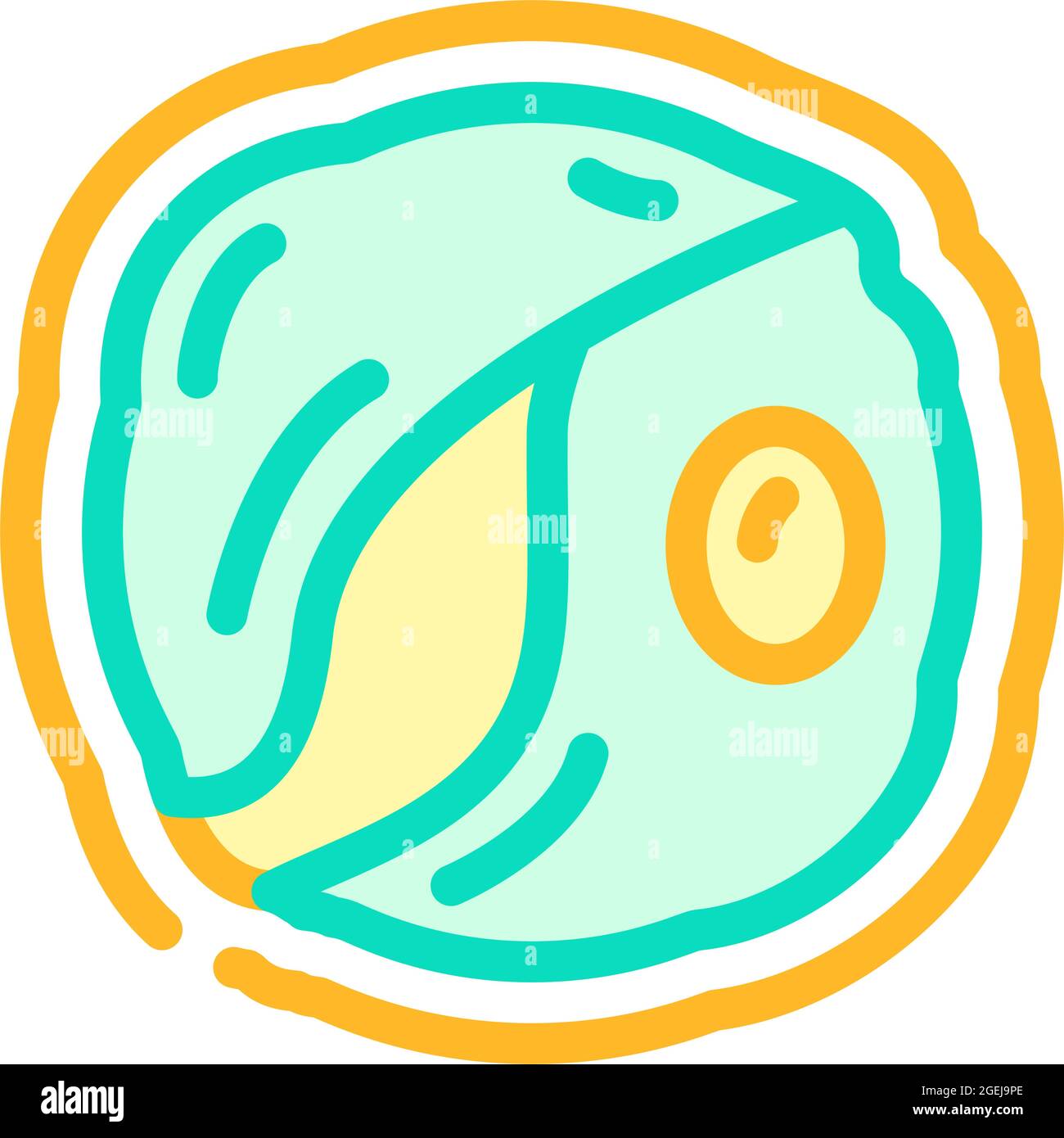 illustrazione vettoriale dell'icona delle alghe di clorella Illustrazione Vettoriale