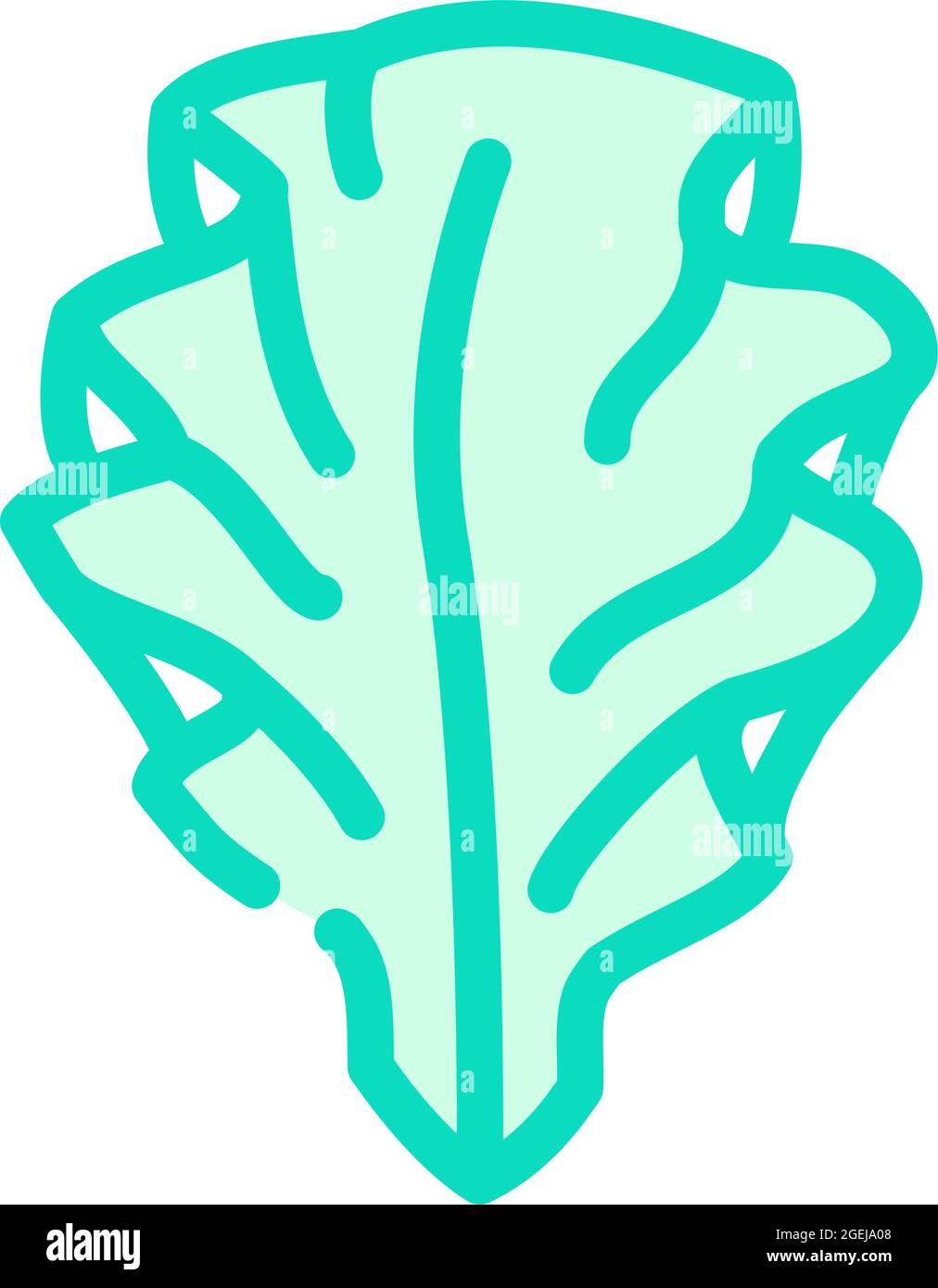 immagine vettoriale dell'icona delle alghe di ulva lattuga Illustrazione Vettoriale