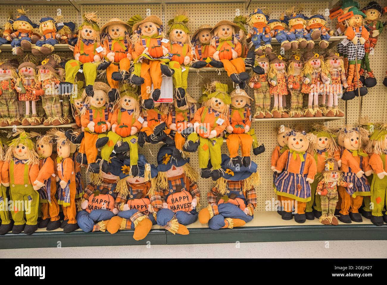 Autunno e Thanksgiving decorazioni stagionali in vendita in un grande magazzino locale della Florida del Nord. Foto Stock