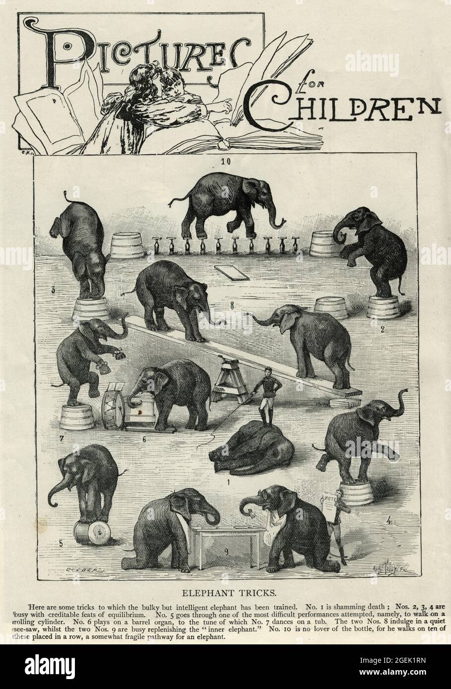Illustrazione vintage addestratore vittoriano animale esecuzione trucchi con elefanti, 19 ° secolo Foto Stock