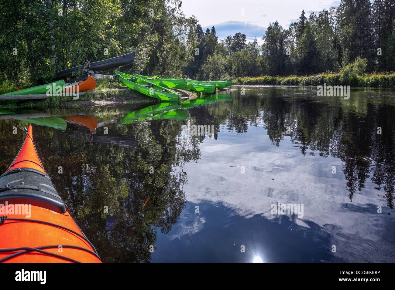 Un sacco di canoa parcheggiato sulla riva del fiume sotto gli alberi al bordo della foresta. Canoe verdi, nere, arancioni lasciate in posizione di riposo. Canoa eccellente attività estiva Foto Stock