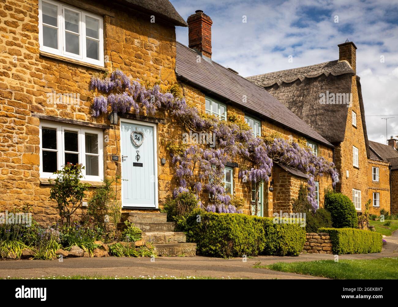Regno Unito, Inghilterra, Oxfordshire, Wroxton, Main Street, Glicine in fiore sopra le porte di graziosi cottage in pietra di Cotswold Foto Stock