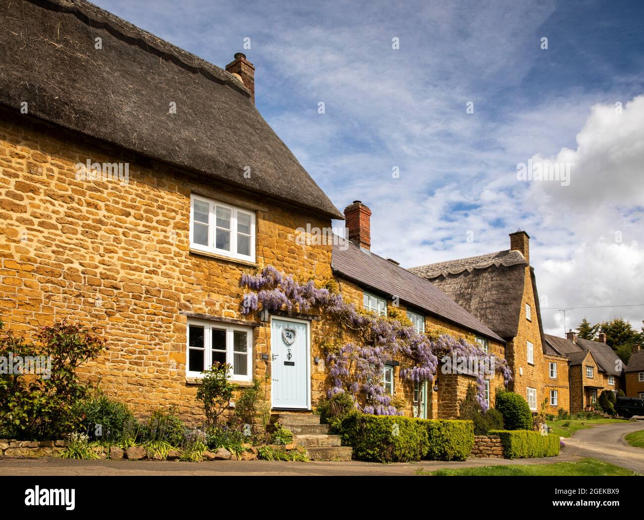 Regno Unito, Inghilterra, Oxfordshire, Wroxton, Main Street, Glicine in fiore sopra le porte di graziosi cottage in pietra del Cotswold sul verde del villaggio Foto Stock