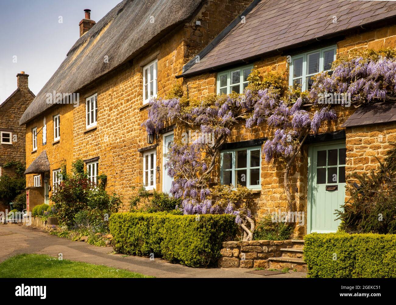 Regno Unito, Inghilterra, Oxfordshire, Wroxton, Main Street, Glicine in fiore sopra le porte di graziosi cottage in pietra di Cotswold Foto Stock