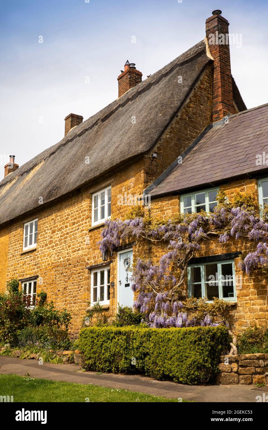 Regno Unito, Inghilterra, Oxfordshire, Wroxton, Main Street, Glicine in fiore sopra le porte di graziosi cottage in pietra di Cotswold Foto Stock