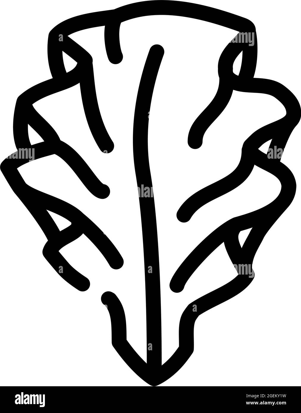 illustrazione vettoriale dell'icona delle alghe marine ulva lattuga Illustrazione Vettoriale