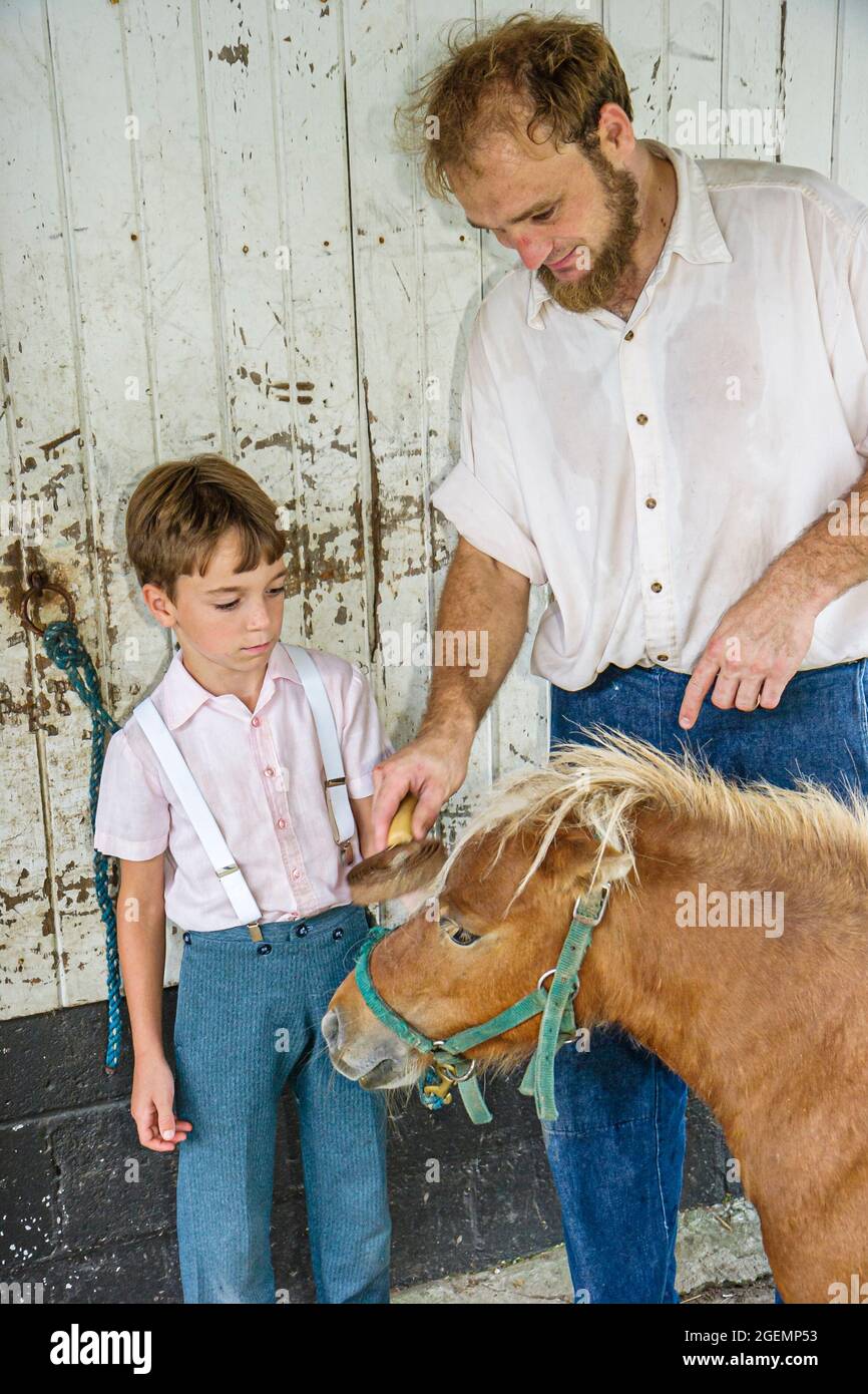 Tour della fattoria Indiana Shipshewana Amish, figlio ragazzo padre genitore pettinare cavallo in miniatura, Foto Stock
