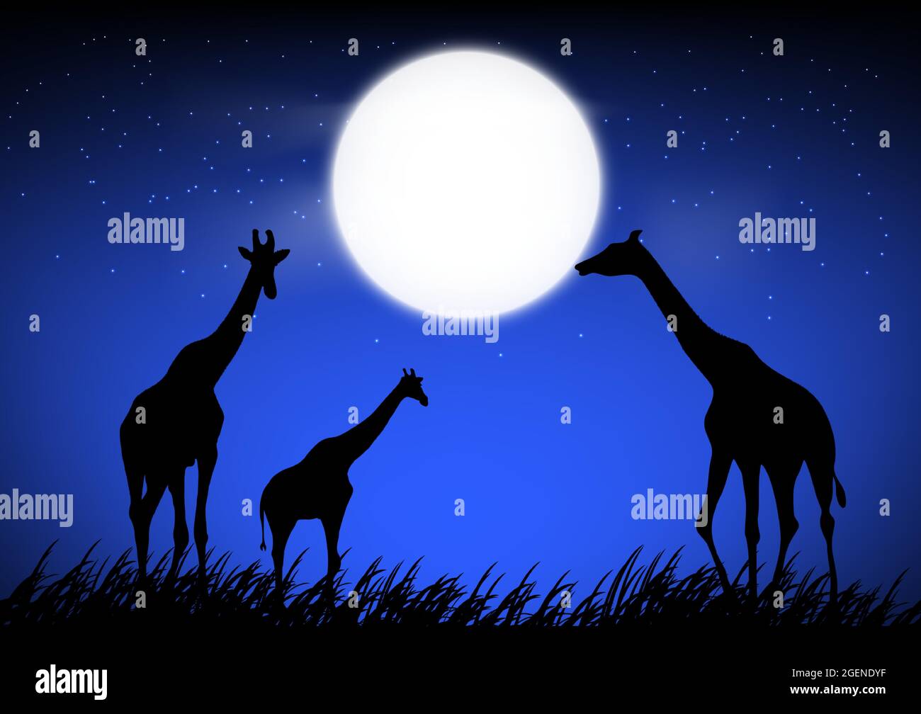 giraffe stan sull'erba nella foresta con sfondo luna di notte grafica disegno vettoriale illustrazione Illustrazione Vettoriale