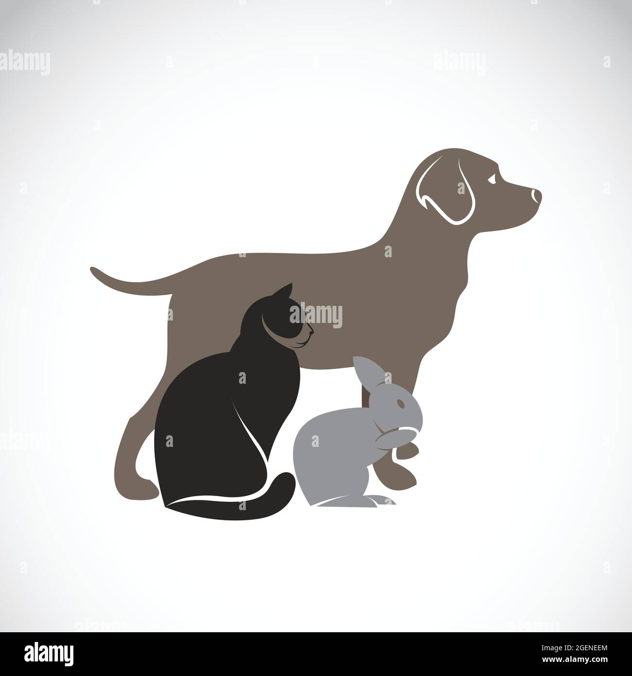 Gruppo vettoriale di animali domestici - cane, gatto, coniglio, isolato su sfondo bianco, illustrazione vettoriale. Amanti degli animali domestici. Illustrazione Vettoriale