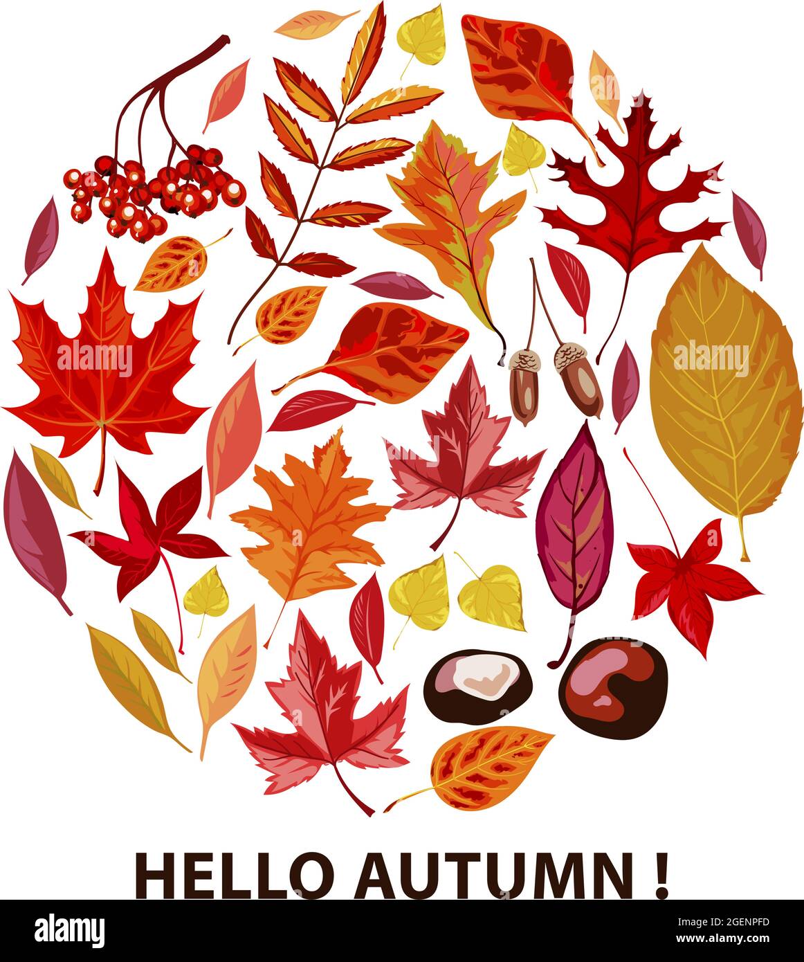 Ciao autunno, poster con foglie secche e fogliame Illustrazione Vettoriale
