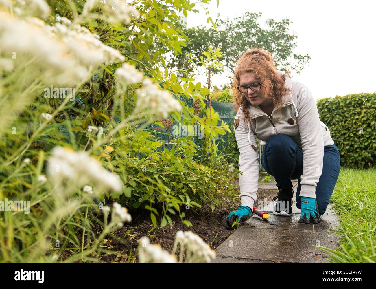 05 agosto 2021, Schleswig-Holstein, Heide: Laura Mugrauer, giardiniere di allotment, lavora nel suo giardino di allotment. Per molto tempo i giardini di assegnazione erano considerati piuttosto borghesi - ma nel frattempo anche i giovani scoprono i giardini di assegnazione per se stessi. (A dpa 'autosufficienza e piccole fughe urbane - giardini di allotment nel nord') Foto: Daniel Bockwoldt/dpa Foto Stock