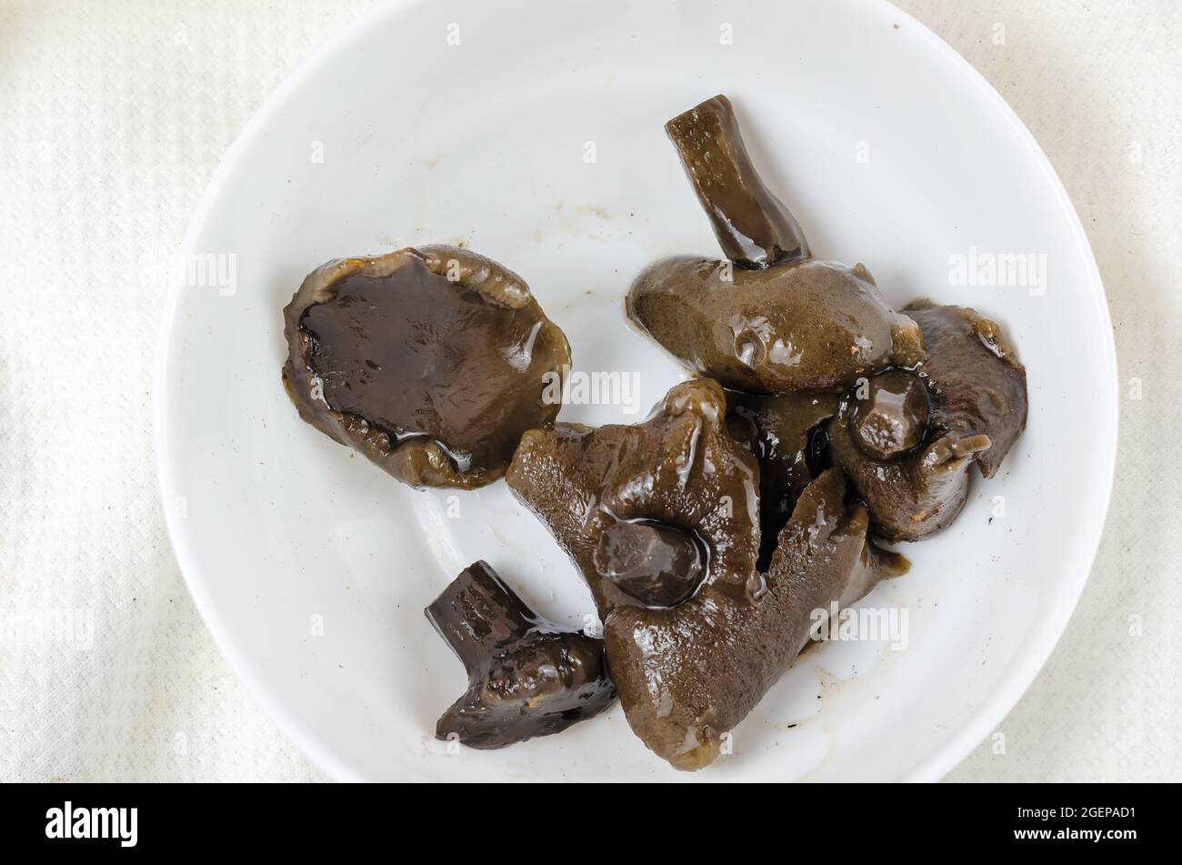 Funghi marinati inadatti in una ciotola di ceramica bianca.Suillus sott'aceto casereccio guastato. Avvelenamento da cibo, deposito improprio di cibo, concetto di botulismo. Foto Stock