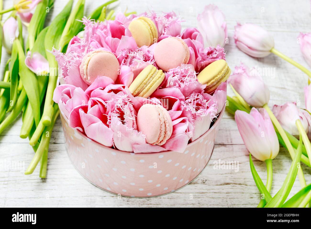 Scatola rosa punteggiata con tulipani e macaroni parigini. Dessert party Foto Stock