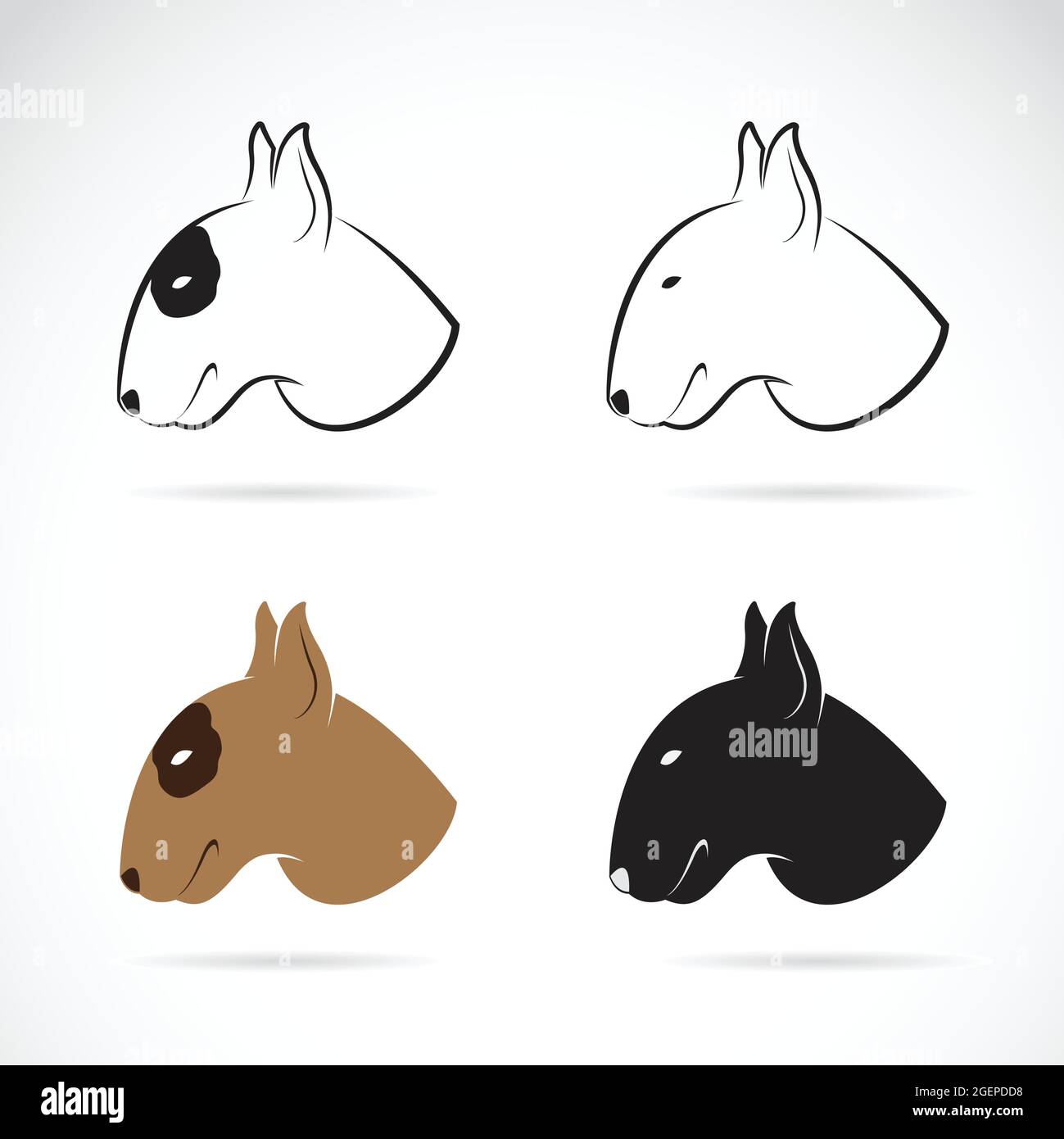 Immagine vettoriale di bull Terrier su sfondo bianco Illustrazione Vettoriale