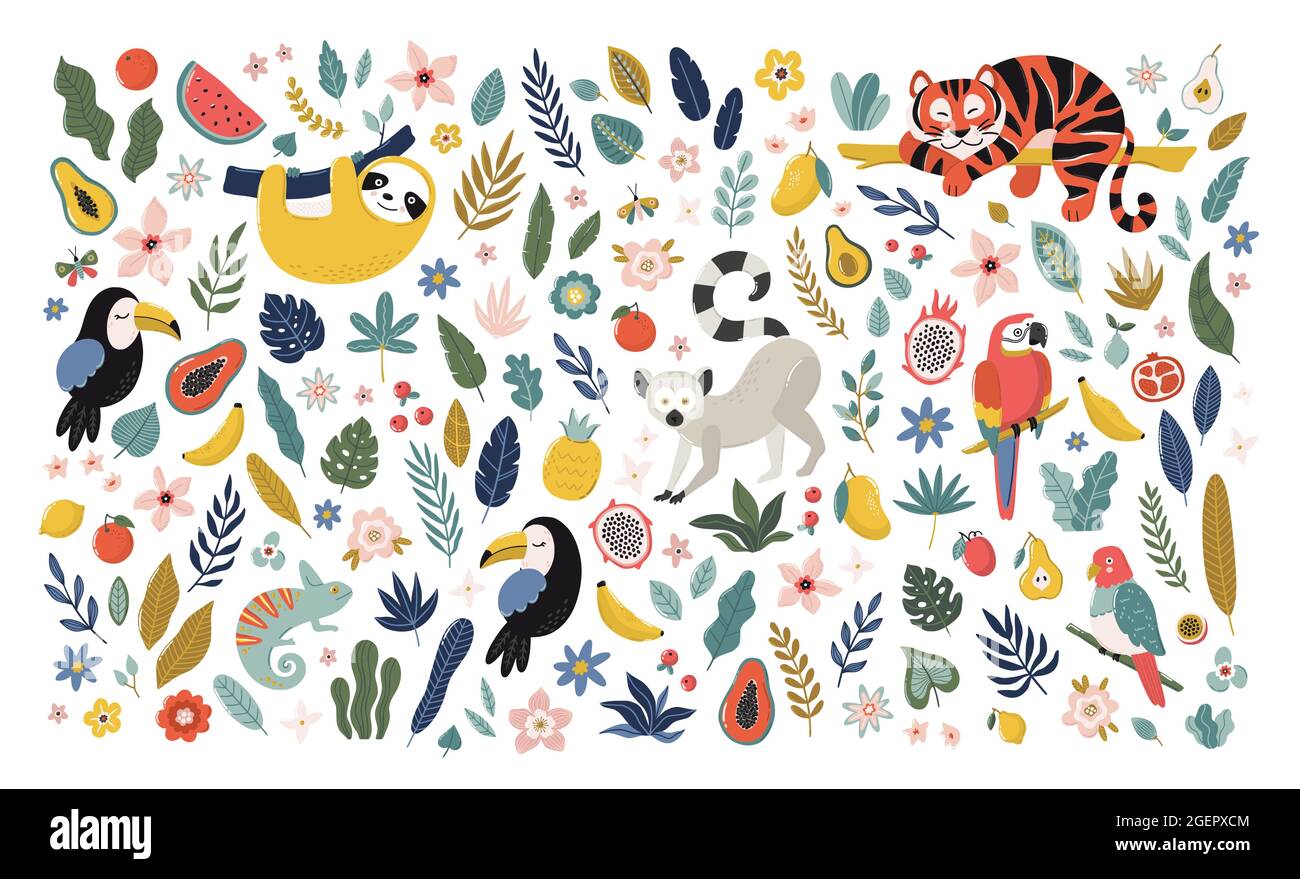 Collezione di vettori tropicali con animali esotici, fiori, piante e frutti. Elementi estivi alla moda. Carino illustrazione disegnata a mano. Illustrazione Vettoriale