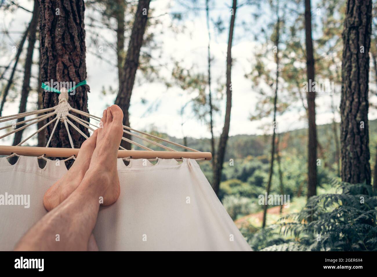 uomo che riposa in un'amaca appesa all'interno di una pineta in mezzo alla natura Foto Stock