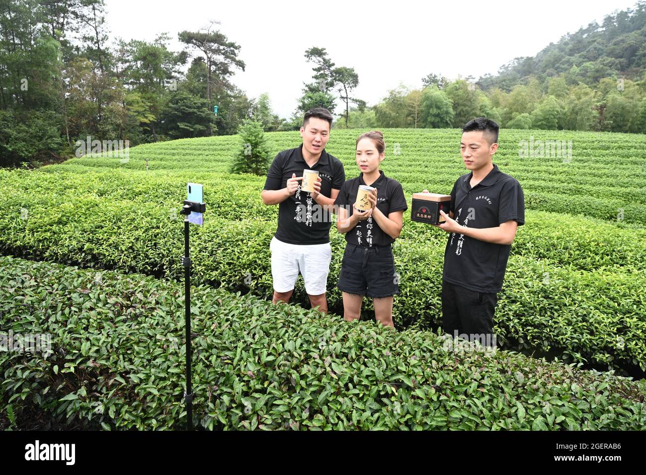 (210821) -- FUZHOU, 21 agosto 2021 (Xinhua) -- i membri del team di Wuyishan Zhumeng Qianlan cooperativa di tè ecologico promuovono i prodotti da tè in un giardino di tè nella città di Xingcun di Wuyishan, provincia del Fujian della Cina sud-orientale, 17 agosto 2021. Il team di live streaming della cooperativa di tè ecologico Wuyishan Zhumeng Qianlan è composto da 19 membri, con un'età media di 28 anni. Essi promuovono lo sviluppo dell'industria locale dell'e-commerce ridefinendo il modello di marketing e migliorando il valore del marchio dei prodotti. Nel 2017, la Cina ha proposto una strategia di vitalizzazione rurale come mossa chiave per accelerare il Foto Stock