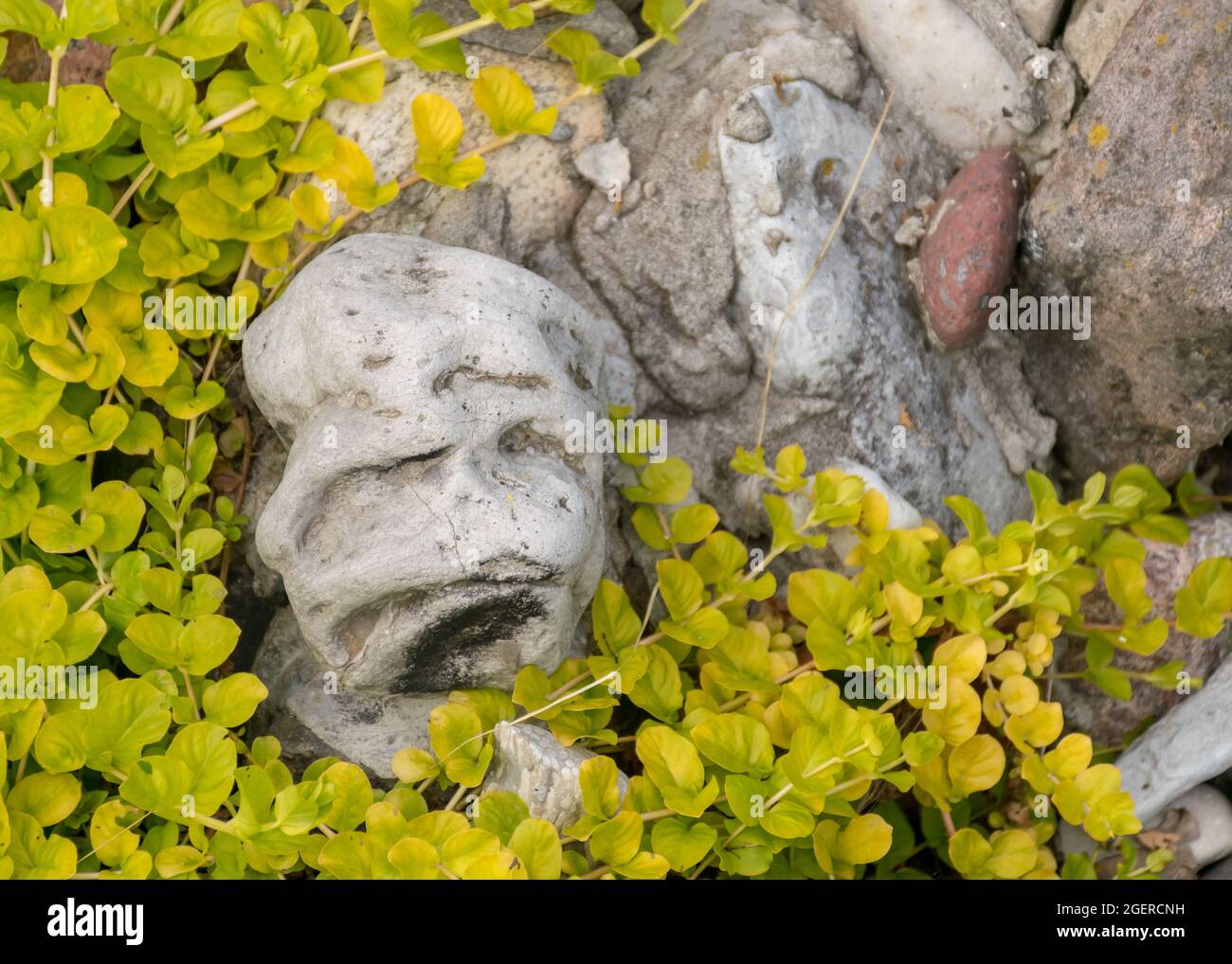 foto con una pietra in erbe verdi, la pietra sembra un volto umano, decorazione in giardino Foto Stock