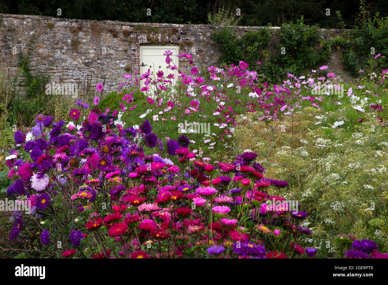 Giardino di fiori recisi in giardino recintato Rousham House, Oxfordshire, Inghilterra Foto Stock