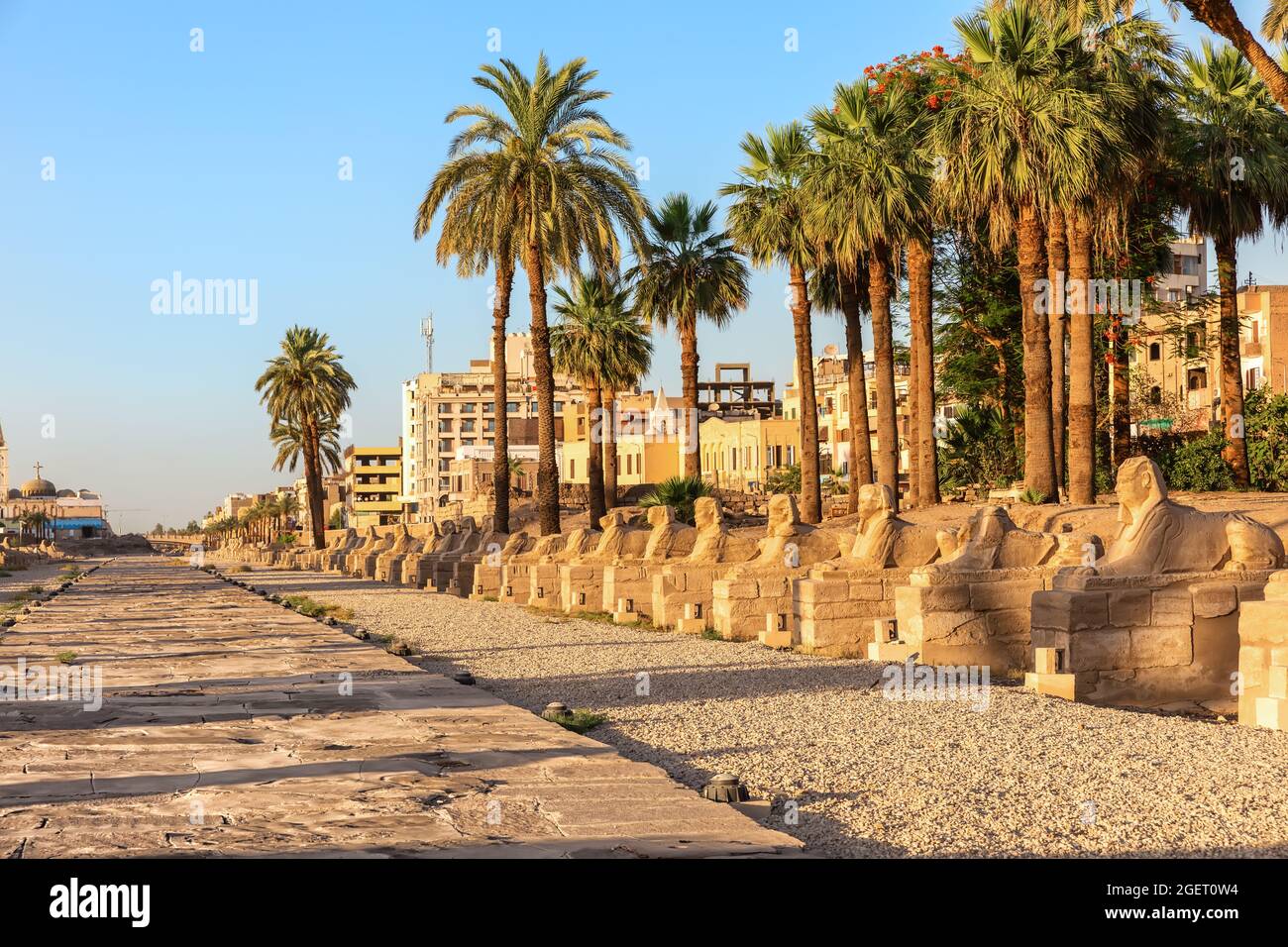 Sphinx Alley presso l'ingresso principale del Tempio di Luxor, Egitto Foto Stock